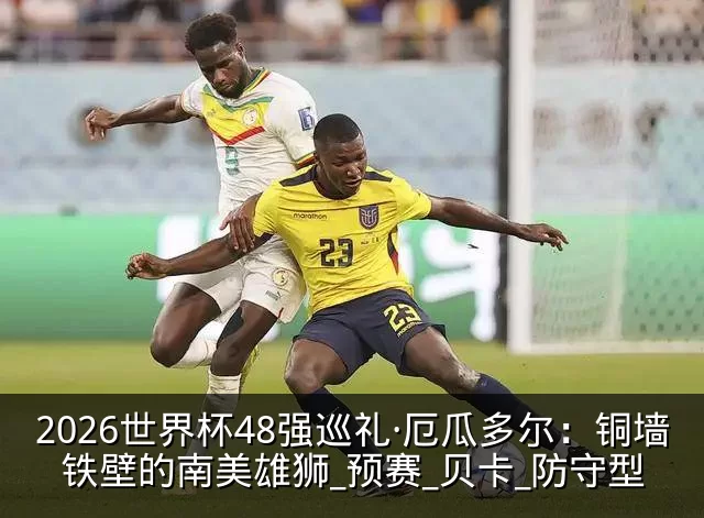 2026世界杯48强巡礼·厄瓜多尔:铜墙铁壁的南美雄狮_预赛_贝卡_防守型
